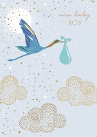 New Baby Boy Card By Sara Miller London